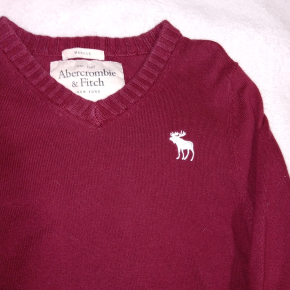 Abercrombie & Fitch Mens Muscle V-Neck Sweater Sz M /Burgundy/Cashmere Blend - Picture 3 of 11